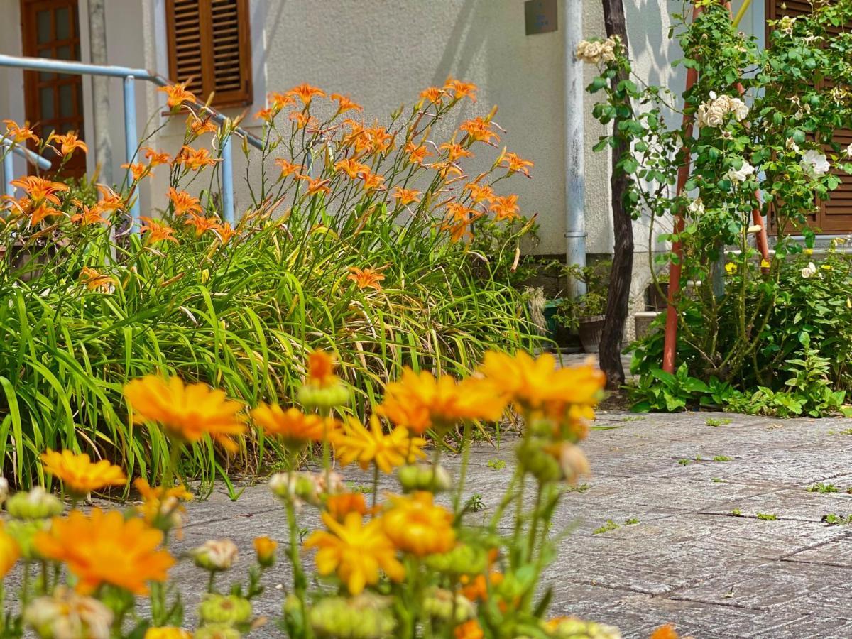 Garden House Budva Eksteriør bilde